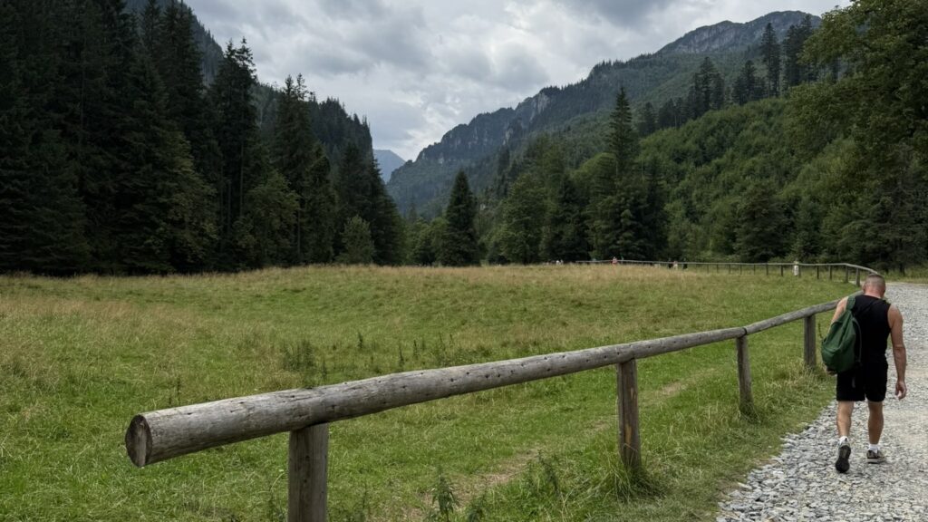 Łąka w Dolinie Kościeliskiej z górami Tatr Zachodnich w tle