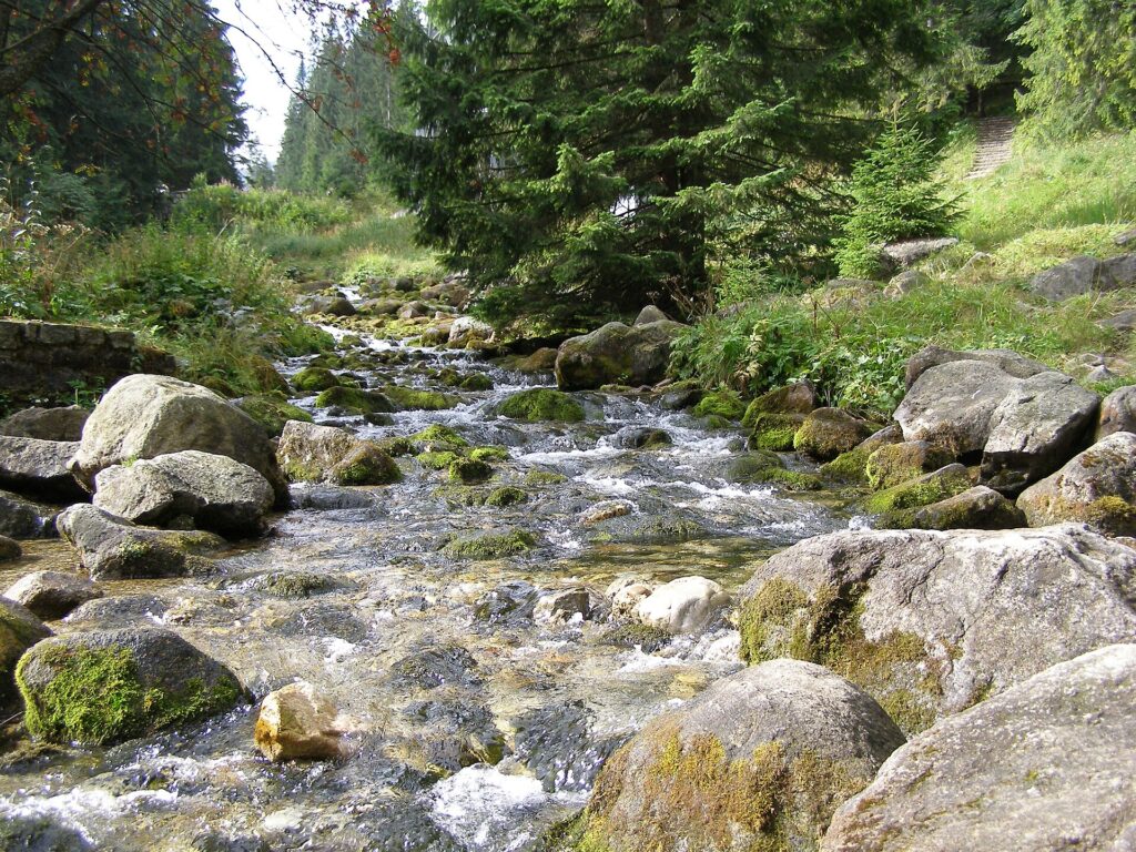 Potok Bystra w Kuźnicach w Zakopanem